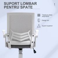Vinsetto Scaun de Birou Ergonomic cu Suport Lombar din Țesătură, Gri(m-6)