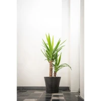 Pot de fleurs - GARDEN ID - Green Care Sense Noir-Anthracite - 30 x 27 cm - Garantie de 10 ans - 100% recyclé - Résistance UV et gel(m-5)