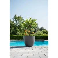 Pot de fleurs - GARDEN ID - Phoenix Anthracite - 38 x 34 cm - 100% Recyclé et Recyclable - Résistant au Gel et UV - Pour Extérieur(m-2)