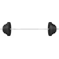 HOMCOM Set di Manubri Regolabile, Set Bilanciere e Dischi 70kg, 8 Dischi Pesi Rivestiti in Plastica e Barra in Metallo, 170x40.5x40.5cm, Nero(m-1)