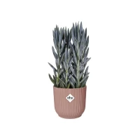 ELHO Pot de fleurs rond avec roues Vibes Fold - Ø 35 x H 32 cm - Intérieur - 100% recyclé - Rose(m-2)