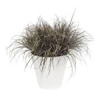 ELHO Pot de fleurs rond avec roues Loft Urban - Ø 38.5 x 35,3 cm - Blanc(m-2)