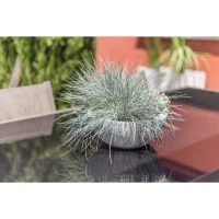 EDA Pot de fleur Rond GRAPHIT UP - 14,9 L - Ø 40 cm x H 16,5 cm - Blanc cérusé(m-3)