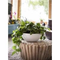 EDA Pot de fleur Rond GRAPHIT UP - 14,9 L - Ø 40 cm x H 16,5 cm - Blanc cérusé(m-4)