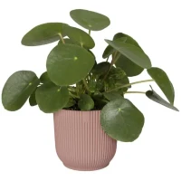 ELHO Pot de fleurs Rond VIBES - Ø25 x H23cm - Plastique - Rose poudré(m-3)