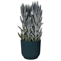 ELHO Pot de fleurs Rond Vibes Fold - Plastique - Ø29,5 X h 27,2 cm - Bleu foncé(m-3)