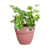 ELHO Pot de fleurs/Balconniere Vibia Campana Easy Hanger Small - Balcon extérieur - L 24.1 x W 20.5 x H 26.5 cm - Rose Poussiere(m-3)