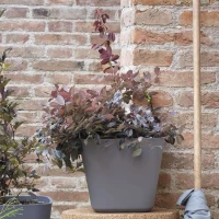 DEROMA Pot de fleurs carré Origin - 28 x 23,5 cm- 12 L - Gris(m-2)
