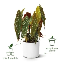 ELHO Pot de fleurs rond B.for Soft 35 - Ø 35 x H 32 cm - Intérieur - 100% recyclé - Blanc(m-2)