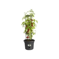 ELHO Pot a tomate Green Basics - Ø 33 x 25 cm - Noir vif(m-3)