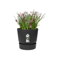 ELHO Pot de fleurs rond Greenville 30 - Extérieur - Ø 29,5 x H 27,8 cm - Vivre noir(m-4)