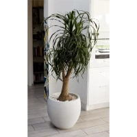 EDA Pot rond GRAPHIT - 46L - Ø50cm x H 45 cm - Blanc cérusé(m-2)