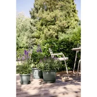 ELHO Pot de fleurs Amiga Rond 40 - Vert - Ø 39 x H 29 cm - Extérieur - 100% recyclé(m-4)