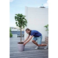 ELHO Pot de fleur Loft Urban Rond avec roues - Violet - Ø 38.5 x H 35 cm - Extérieur - 100% recyclé(m-5)