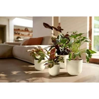 Pot de fleur - Elho - Jazz Rond - Blanc - L 35 x B 34.5 x H 32 cm - Intérieur - 100% recyclé(m-4)