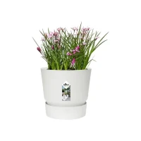 ELHO Pot de fleurs rond Greenville 30 - Extérieur - Ø 29,5 x H 27,8 cm - Blanc(m-4)