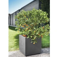 DEROMA Pot de fleurs Cube Millennium R - 49 x H49,5 cm - Anthracite - A réserve d'eau - Roulettes(m-5)