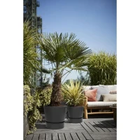 ELHO Pot de fleurs rond Greenville 30 - Extérieur - Ø 29,5 x H 27,8 cm - Vivre noir(m-6)