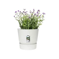 ELHO Pot de fleurs rond Greenville 40 - Extérieur - Ø 39 x H 36,8 cm - Blanc(m-3)
