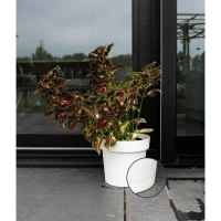 Pot a réserve d'eau - GARDEN ID Glamour - Blanc 40 cm - Surface granuleuse - Intérieur/extérieur - Design épuré.(m-2)