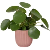ELHO Pot de fleurs Rond VIBES - Ø29,5 x H27,2 cm - Plastique - Bleu Foncé(m-3)