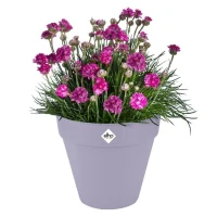 ELHO Pot de fleur Loft Urban Rond avec roues - Violet - Ø 48.5 x H 45 cm - Extérieur - 100% recyclé(m-3)