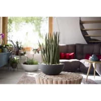 EDA Pot de fleur Rond GRAPHIT UP - 14,9 L - Ø 40 cm x H 16,5 cm - Gris anthracite(m-3)