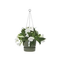 ELHO Pot de fleurs a suspendre Greenville - Ø 23,9 x H 20,3 cm - Extérieur - Vert feuille(m-3)