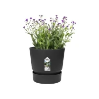 ELHO Pot de fleurs rond Greenville 40 - Extérieur - Ø 39 x H 36,8 cm - Vivre noir(m-3)