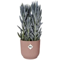 ELHO Pot de fleurs Rond VIBES - Ø25 x H23cm - Plastique - Rose poudré(m-4)