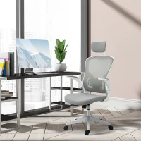 Vinsetto kantoorstoel ergonomische bureaustoel met kantelfunctie hoge rugleuning lendensteun hoofdsteun opklapbare armsteun kantoor aan huis grijs 65 x 64 x 114-122 cm(m-13)