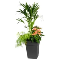 Pot de fleur mi-haut Carré 40 cm - EDA - Toscane - 39 x 39 x H. 53 cm - 51 L - Gris Anthracite(m-2)