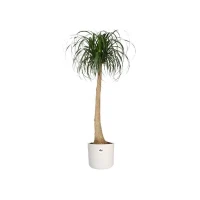 ELHO Pot de fleurs rond B.for Soft 35 - Ø 35 x H 32 cm - Intérieur - 100% recyclé - Blanc(m-3)