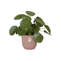 ELHO Pot de fleurs rond avec roues Vibes Fold - Ø 35 x H 32 cm - Intérieur - 100% recyclé - Rose(m-3)