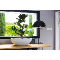 EDA Pot vasque GRAPHIT - 39 L - Ø 59 cm x 21 cm - Blanc cérusé(m-3)