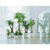 ELHO Pot de fleurs rond B.for Soft 35 - Ø 35 x H 32 cm - Intérieur - 100% recyclé - Blanc(m-5)