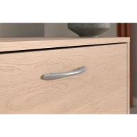 Meuble a chaussures 2 abattants - EASY LIFE - Chene - 66,5 x 78,5 x 25,1 - PARISOT(m-3)