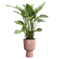 ELHO Pot de fleur Vibes Fold Coupe - Rose - Ø 29.5 x H 45 cm - Intérieur - 100% recyclé(m-5)