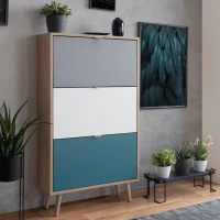 Finori Armoire a chaussures C-uba 42 Chene Sonoma et tricolore(m-3)