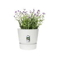 ELHO Pot de fleurs rond Greenville 25 - Extérieur - Ø 24,48 x H 23,31 cm - Blanc(m-3)