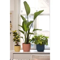 ELHO Pot de fleurs Rond VIBES - Ø25 x H23cm - Plastique - Rose poudré(m-6)