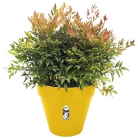 ELHO Pot de fleurs Rond LOFT URBAN - Ø50 x H44,5cm - Plastique - Percé - Réservoir - Avec roulettes - Ocre(m-3)