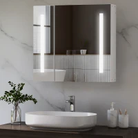 Illuminated Bathroom Mirror Cabinet 650 x 700Hmm LED Bathroom Mirror with Lights Touch Switch, Adjustable Shelf,  USB Charge, White(m-10)