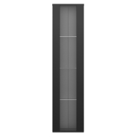 Vitrina multifuncional con separador de vidrio, luz LED con cambio de color, 40x29x170 cm, Negro