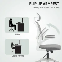 HOMCOM Executive Office Chair, Ergonomic Mesh High Back Desk Chair with Flip-up Armrest, Rotatable Headrest, Adjustable Lumbar Support for Home Study, Grey(m-7)