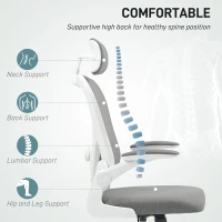 HOMCOM Executive Office Chair, Ergonomic Mesh High Back Desk Chair with Flip-up Armrest, Rotatable Headrest, Adjustable Lumbar Support for Home Study, Grey(m-4)
