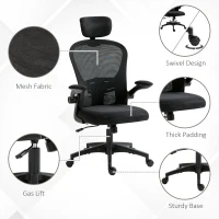 Vinsetto Multi-Adjustable Office Chair, with Lumbar Support, Headrest and Mesh Back - Black(m-7)