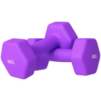 SPORTNOW 2 x 4kg Hexagonal Dumbbells Weights Set with Non-Slip Grip for Home Gym Workout, Purple(m-1)