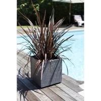 Bac a fleurs Carré 50 cm - EDA - Graphit - 57 L - 49,5 x 49,5 x H. 49,5 cm - Gris Anthracite(m-4)