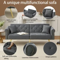 2-Seater Modern Sofa Bed with Velvet Upholstery and Adjustable Backrests, Daybed Perfect for Living Room, 177L x 74W x 71H cm, Gray(m-6)